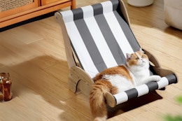 Cat Hammock With Water Mat, Just $17 After Amazon Promo Code  card image