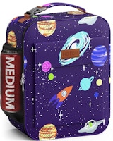 Adult Insulated Lunch Bag