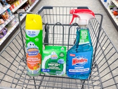 windex and scrubbing bubbles products in walgreens cart