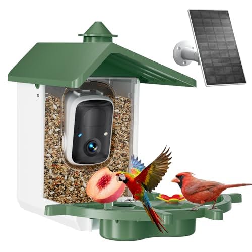 Smart Bird Feeder with Camera