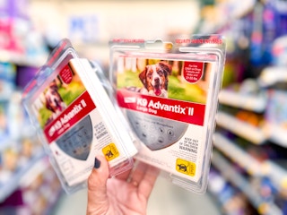 k9-advantix-treatment-walmart-1