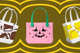 Dick's Sporting Goods Bogg Bag