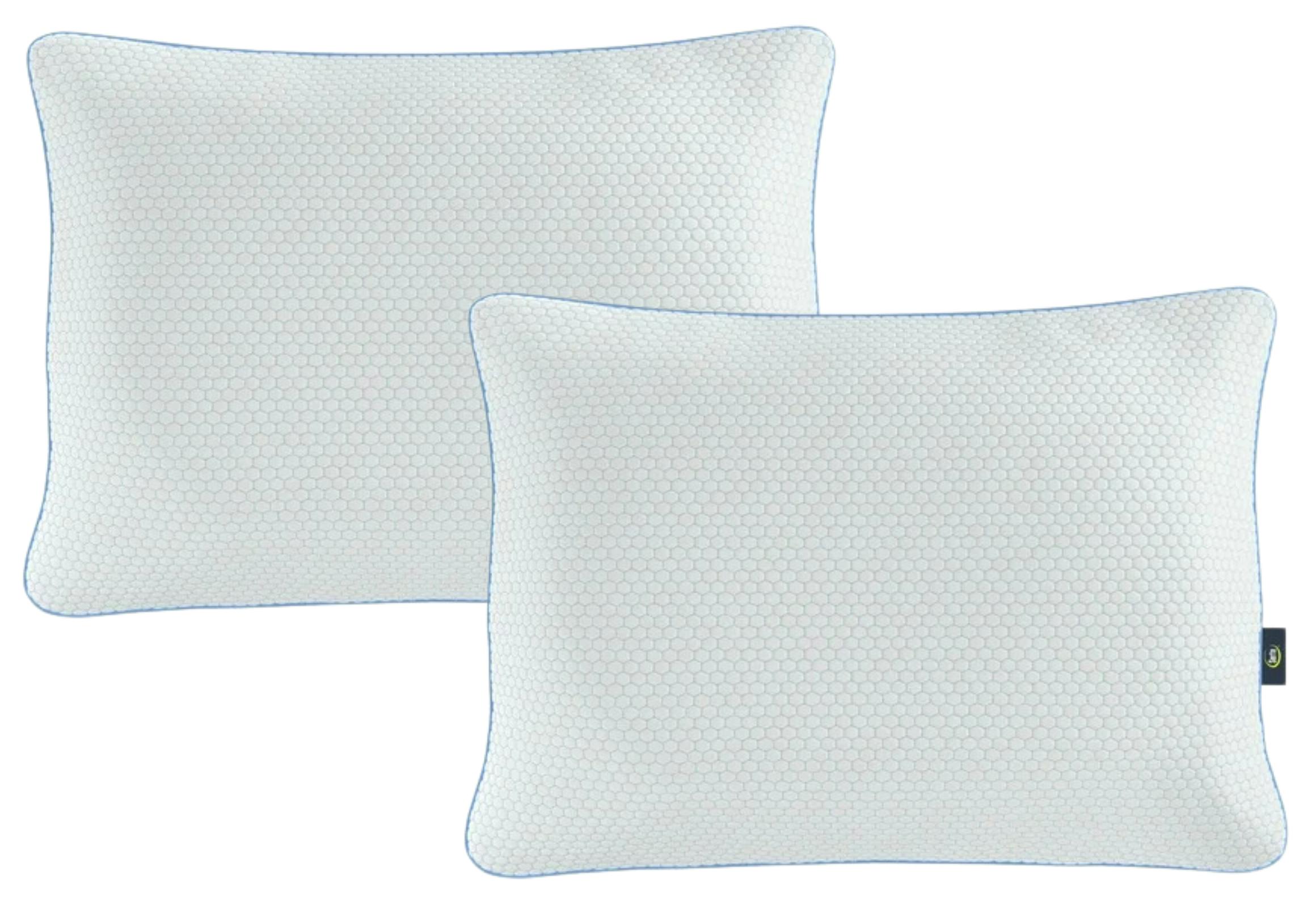 Serta Pillow Set