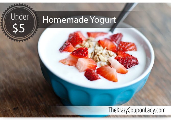 Save Money by Making Your Own Yogurt in a Slow Cooker!