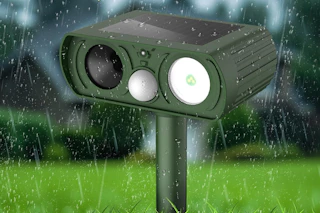 animal repellant in rain