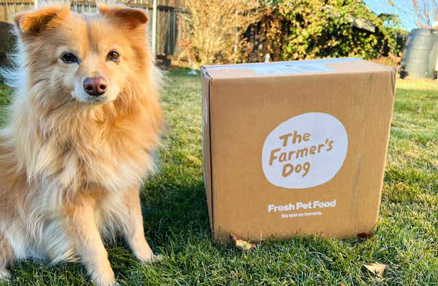 50% Off Your First Farmer's Dog Fresh Food Box card image