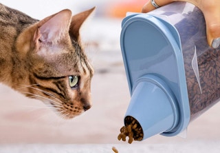 amazon greenjoys pet food containers 2022 2 1654793490 1654793490