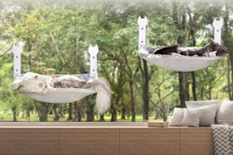 Cat Window Perch 2-Pack, Only $19.79 on Amazon (Reg. $35.99) card image