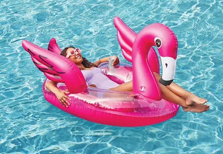 Member's Mark Novelty Float