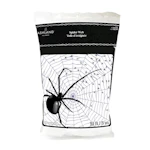 Ashland Spider Web