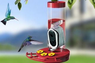 a hummingbird feeder