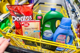 groceries in a dollar general shopping cart