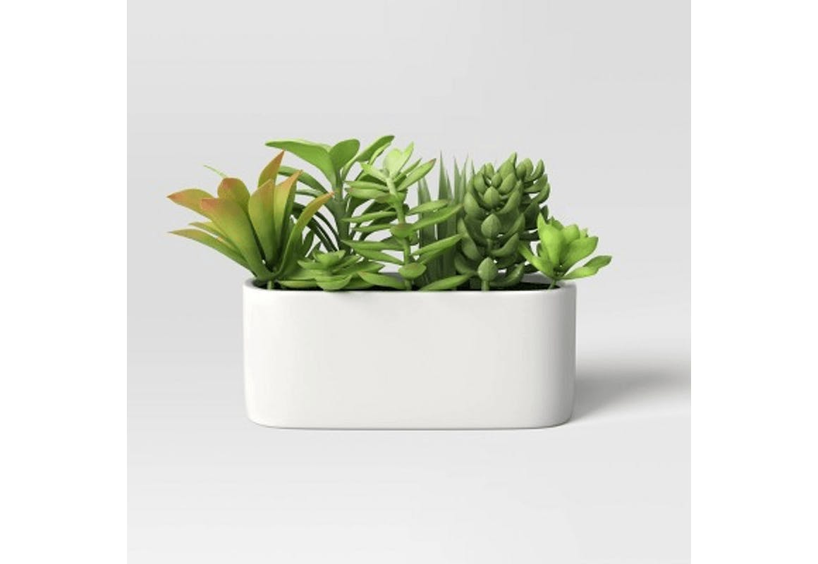 Threshold Potted Faux Succulents