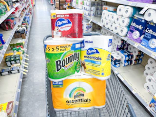 bounty charmin paper products walgreens