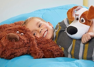 zulily pillow pet 1685027989 1685027989 e1685028005990