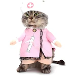 Nurse Pet Costume
