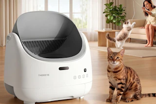 automatic litter box