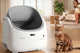 automatic litter box