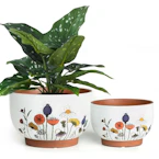 Terracotta Plant Pots