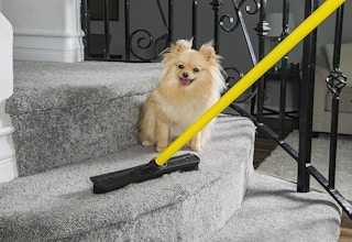 a pet broom cleaning stairs with a small dog on it