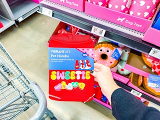 pet hoodie walmart valenines day dollar spot