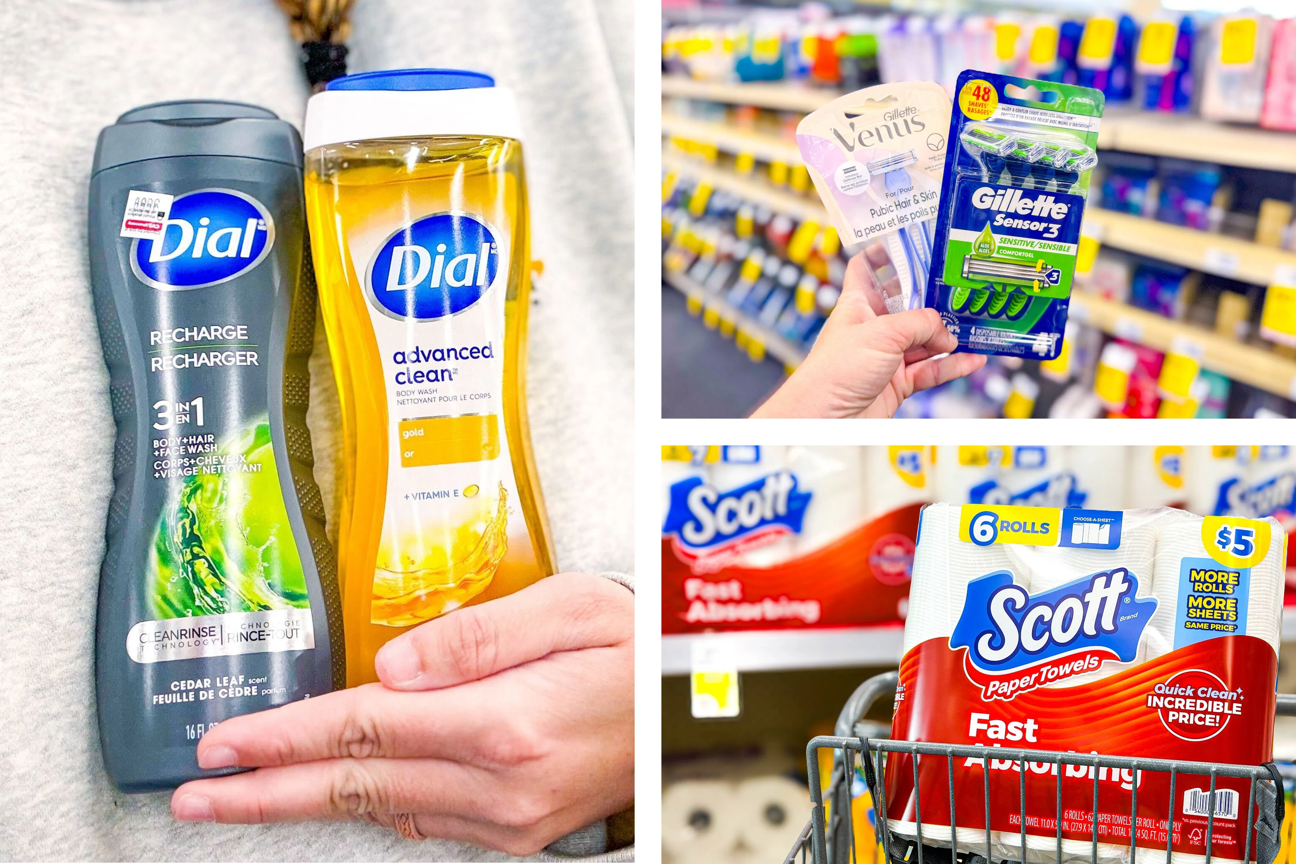 Dial Body Wash and Scott products on sale at Walgreens
