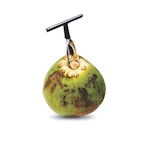 Stainless Steel Coconut Opener