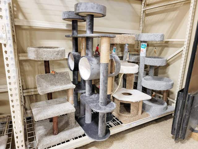 Save Up to 59% on Cat Trees — Prices Start at $33 at PetSmart card image