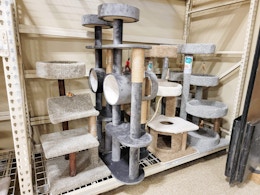 Cat Tree Sale at PetSmart: Prices Start at $29.99 card image