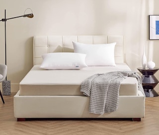 Bedsure Queen Pillows