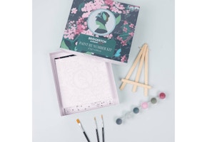 Bridgerton Paint By Numbers