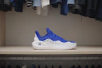 adult curry basketball shoes 