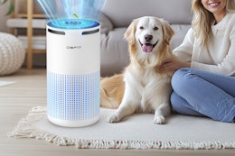 Large Room Air Purifier, Only $27.20 on Amazon (Reg. $100) card image