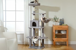 Get a Cat Tree for Only $61 at Walmart (Reg. $170) card image