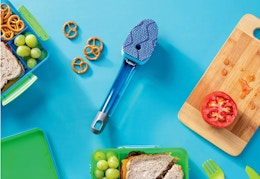 scotch brite wand