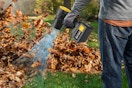 leaf blower