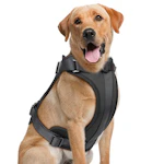 Lightweight Dog Harness