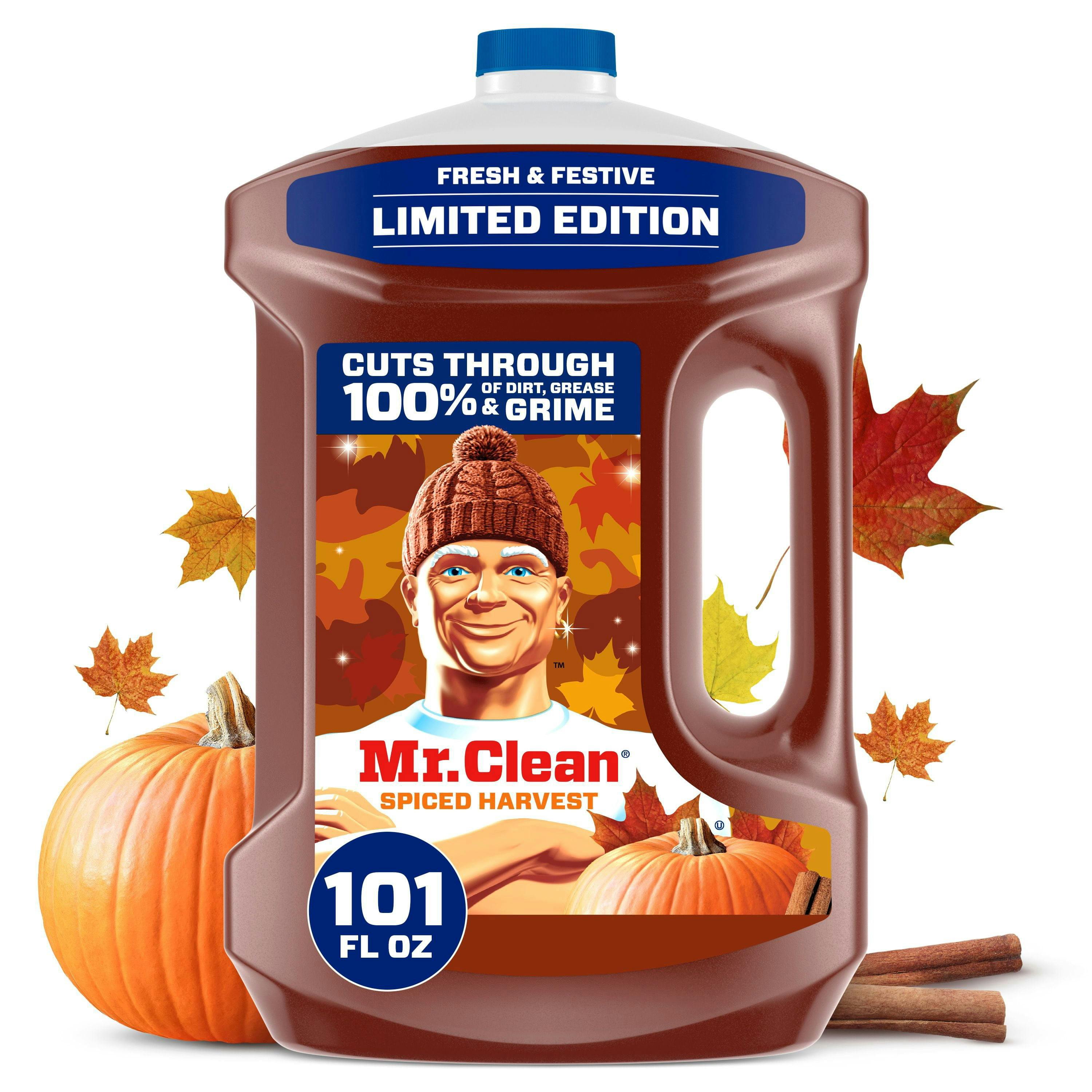 Mr. Clean Multi-Surface Cleaner