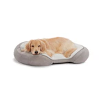 Top Paw Dog Bed