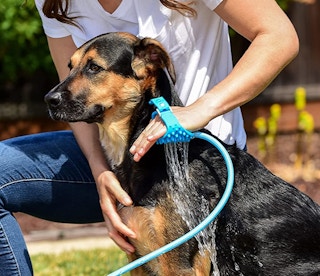 amazon aquapaw 1683139374 1683139374 e1683139492713