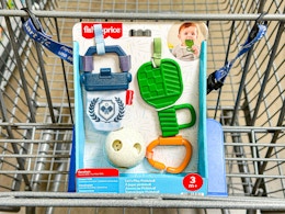 Fisher-Price Pickleball Play Set in Walmart shopping cart