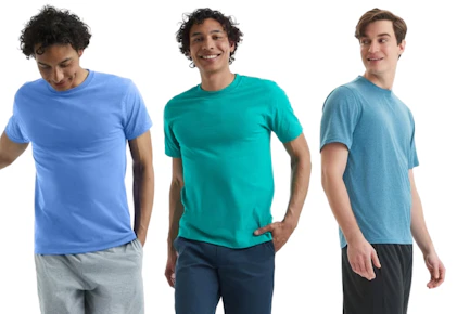 Hanes Men's Tee