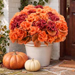 Artificial Fall Flowers