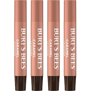 Burt's Bees Shimmer Lip Tint 4-Pack