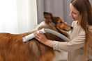 Lifestyle image of a dog being groomed by a pet vaccuum
