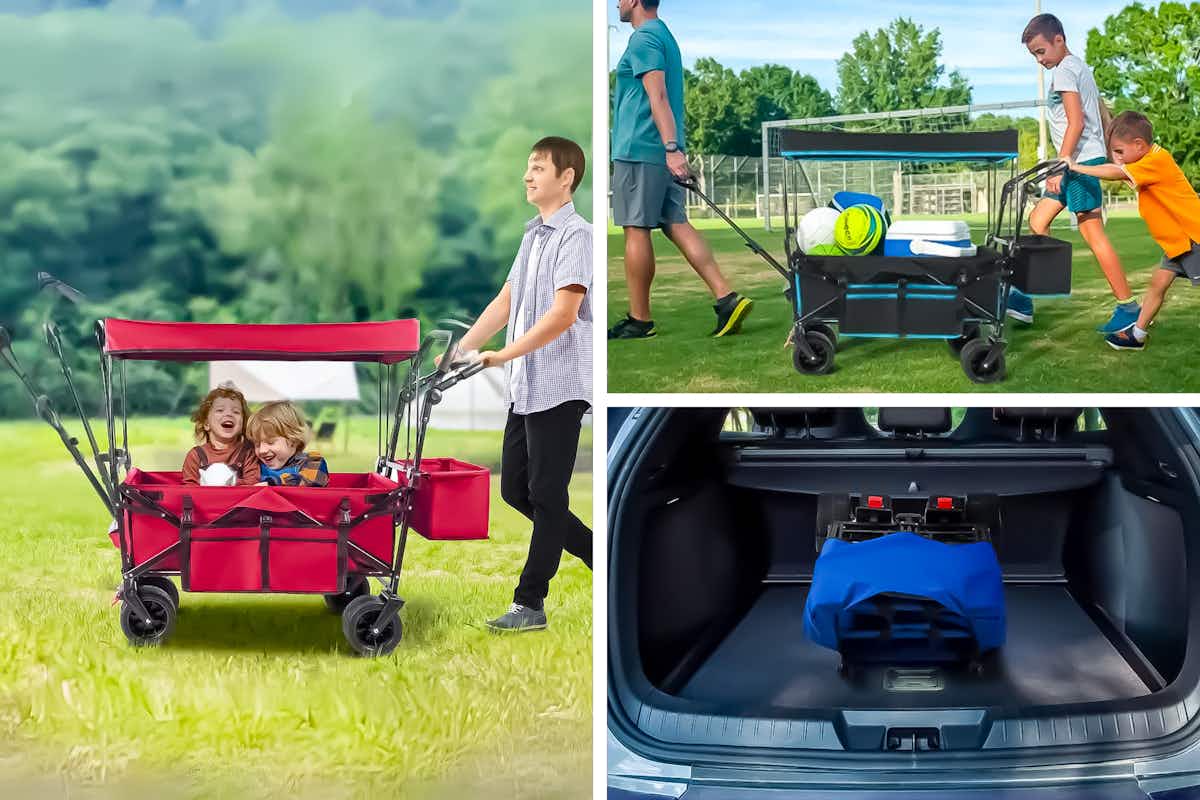 Wagon Cart With Removable Canopy, Now Just $88 at Walmart (Reg. $260)