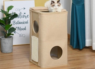 until-gone-wooden-cat-box-sept-2022