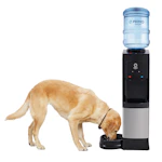 Primo Top Load Water Cooler