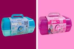 Barbie and Bluey Caboodles Makeup Organizer Sets, Just $24.98 at Walmart card image