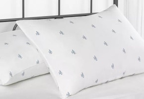 Pillows 2-Pack
